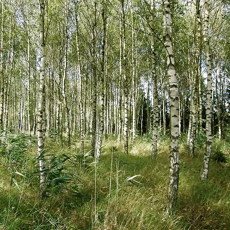 Bociek Bełk (Warmińsko-Mazurskie)